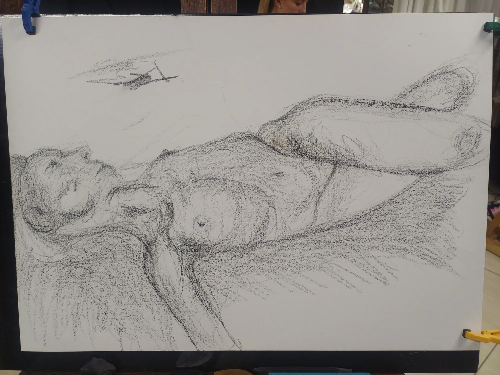 Life drawing from Fri 13 Mar 2026 at Randburg Studio