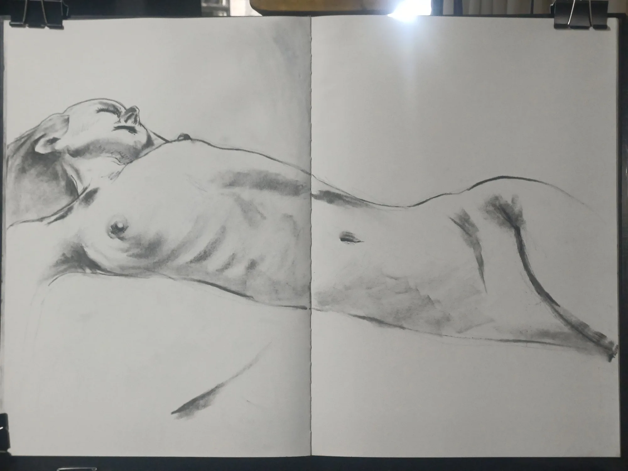 Life drawing from Fri 13 Mar 2026 at Randburg Studio
