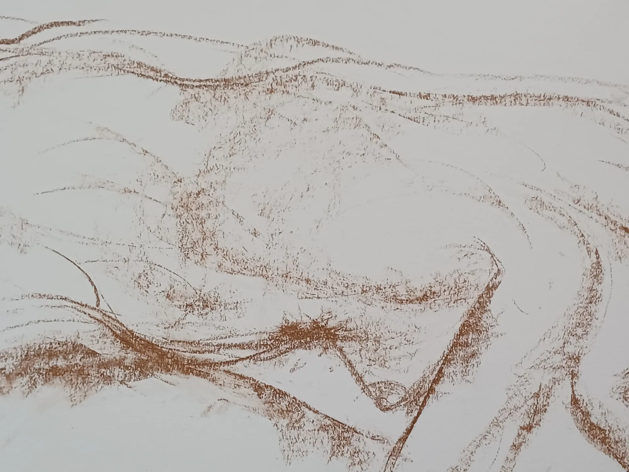 Life drawing from Fri 13 Mar 2026 at Randburg Studio