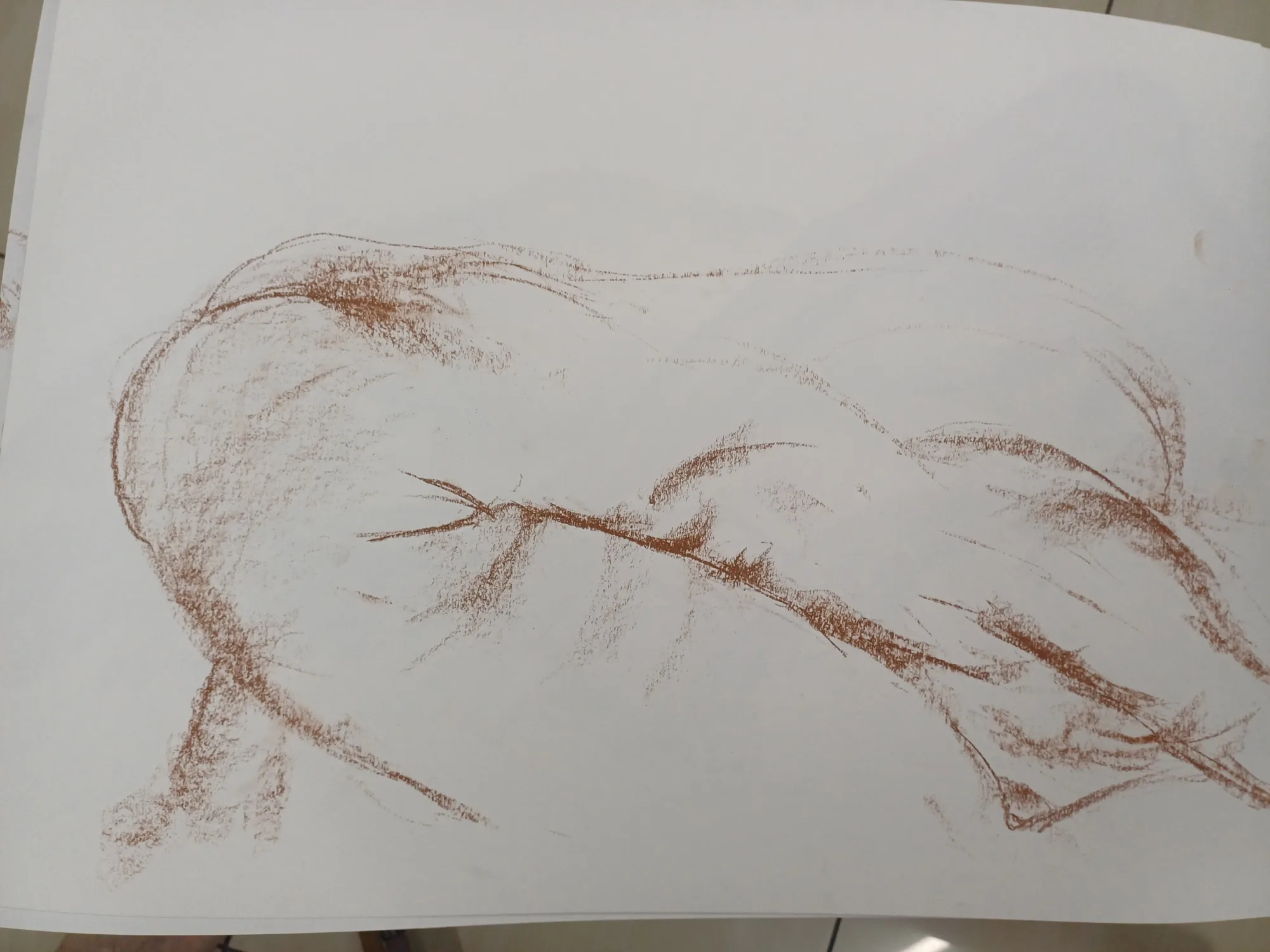 Life drawing from Fri 13 Mar 2026 at Randburg Studio