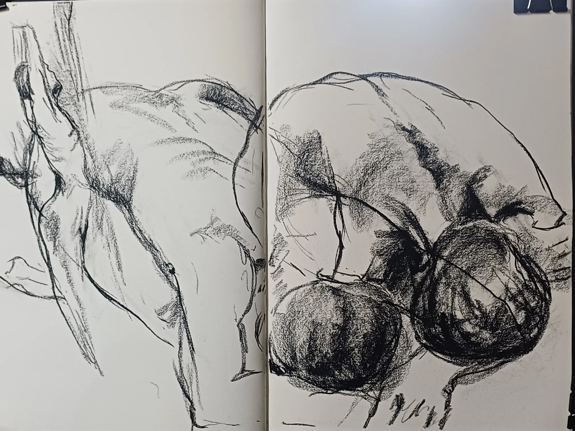 Life drawing from Fri 13 Mar 2026 at Randburg Studio